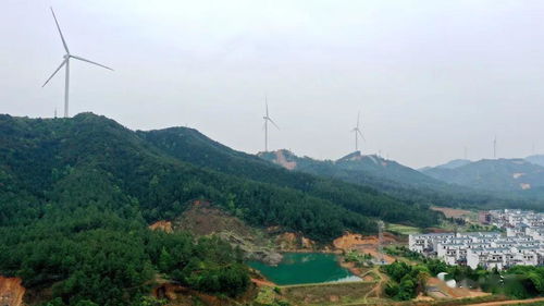 吉安天气预报15天查询百度一下-吉安天气预报15天查询-第2张图片-雾华天气