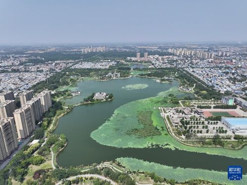 河间天气情况-沧州河间天气预报一周-第2张图片-雾华天气