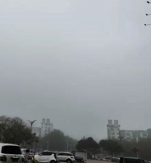 聊城天气预报一周7天-聊城天气预报一周7天查询结果表-第1张图片-雾华天气
