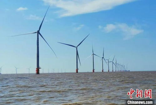 嘉兴天气预报15天查询结果海宁-嘉兴天气预报15天查询-第1张图片-雾华天气