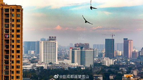 成都天气40天-成都天气40天预报准-第2张图片-雾华天气