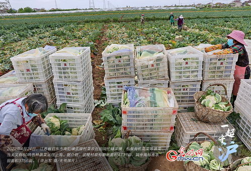 上海到启东-上海到启东吕四长途汽车时刻表-第2张图片-雾华天气