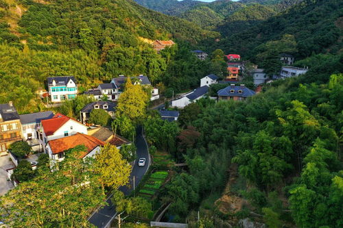 德清天气预报一周7天-德清天气预报一周7天-第2张图片-雾华天气