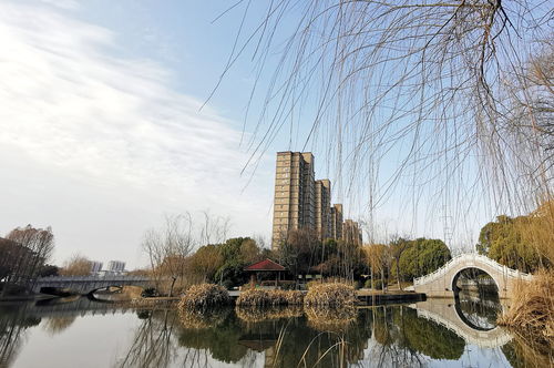 扬州天气预报15天查询-扬州天气预报15天查询结-第3张图片-雾华天气