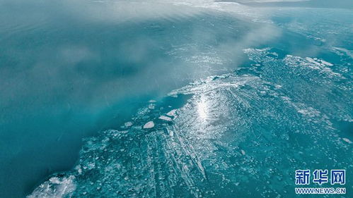 青海湖天气15天查询-青海西宁天气预报15天查询青海湖-第1张图片-雾华天气