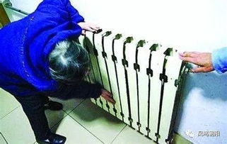 辽宁朝阳天气预报15天查询结果-辽宁朝阳天气预报15天-第3张图片-雾华天气