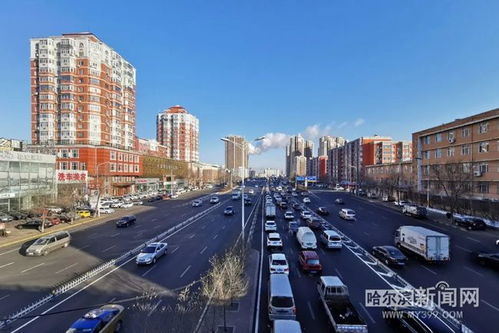 哈尔滨未来15天天气预报情况-哈尔滨未来15天天气预报-第2张图片-雾华天气