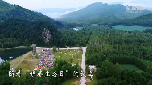 伊春天气预报15天-伊春天气预报15天查询结果预报-第1张图片-雾华天气