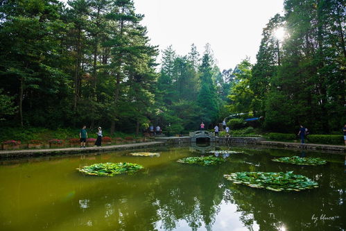 庐山天气预报15天景区-庐山天气预报15天景区天气-第2张图片-雾华天气