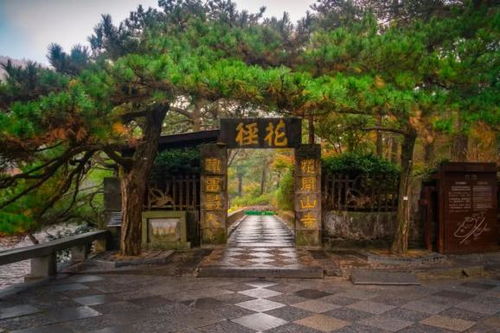 庐山天气预报15天景区-庐山天气预报15天景区天气-第1张图片-雾华天气