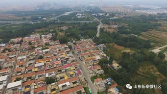 新泰天气预报查询-新泰天气预报一周天气-第2张图片-雾华天气