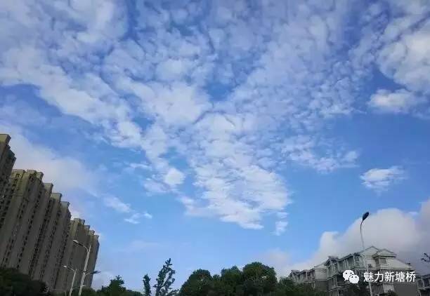 张家港天气预报一周7天-张家港天气预报一周7天详情查询下载-第3张图片-雾华天气