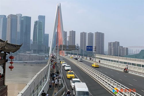 重庆限行时间和范围2024年-重庆限行时间-第2张图片-雾华天气