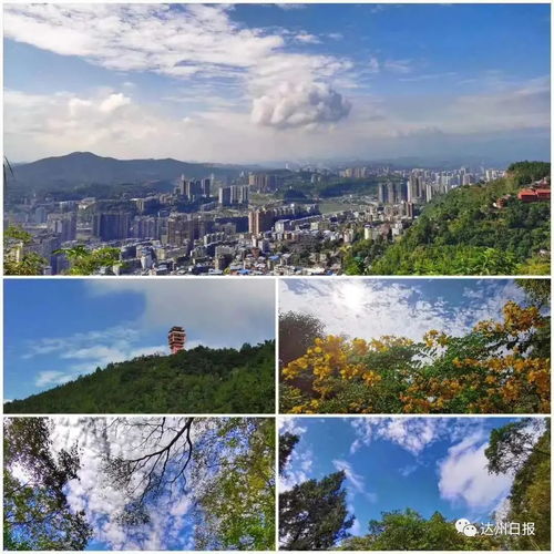 达州天气预报一周15天-达州天气预报一周7天-第2张图片-雾华天气