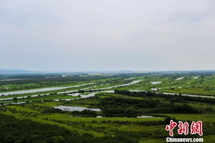 虎林天气预报15天查询-虎林天气预报15天查询24小时-第2张图片-雾华天气