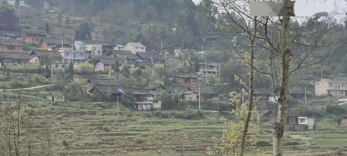 凯里天气预报15天查询百度百科-凯里天气预报15天查询-第2张图片-雾华天气