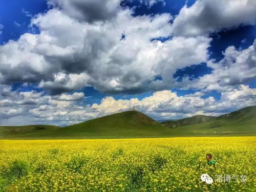 东营天气预报15天查询-东营天气预报15天查询最新消息今天-第1张图片-雾华天气
