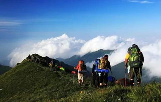 五台山天气预报15天-五台山天气预报15天准确-第1张图片-雾华天气
