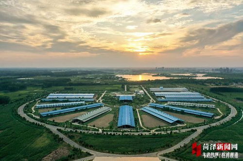 曹县天气预报15天查询-曹县天气预报15天查询30天-第1张图片-雾华天气