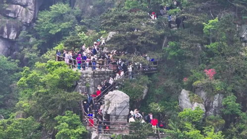 庐山天气预报30天查询-庐山天气预报30天-第3张图片-雾华天气
