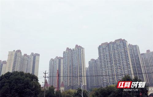 常德天气预报15天查询-常德天气预报15天查询app-第3张图片-雾华天气