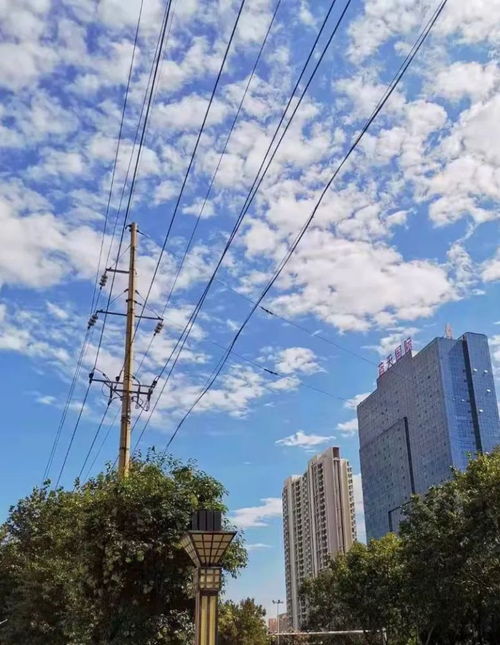 济宁天气预报一周7天-济宁天气预报一周7天查询结果-第2张图片-雾华天气