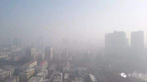 济宁天气预报一周7天-济宁天气预报一周7天查询结果-第3张图片-雾华天气