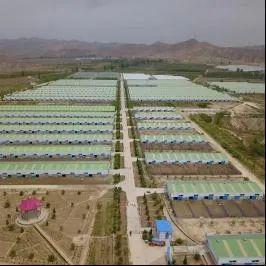 兰西天气预报15天查询百度-兰西天气预报15天-第2张图片-雾华天气