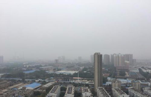 洛阳天气预报30天准确-洛阳天气预报30天准确 一个月-第1张图片-雾华天气