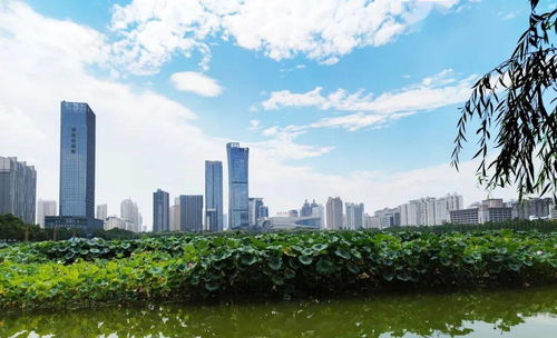 洛阳天气预报30天准确-洛阳天气预报30天准确 一个月-第2张图片-雾华天气