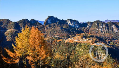 建始县天气预报15天查询-建始县天气预报15天-第3张图片-雾华天气
