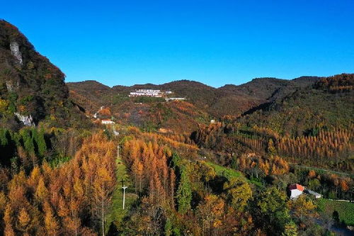 建始县天气预报15天查询-建始县天气预报15天-第1张图片-雾华天气