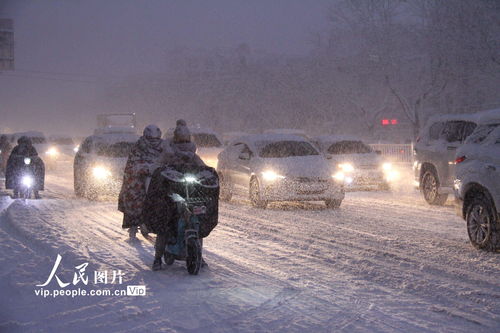 山东天气预报播报时间-山东天气预报一周15天暴雪-第1张图片-雾华天气