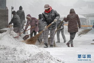 山东天气预报播报时间-山东天气预报一周15天暴雪-第3张图片-雾华天气