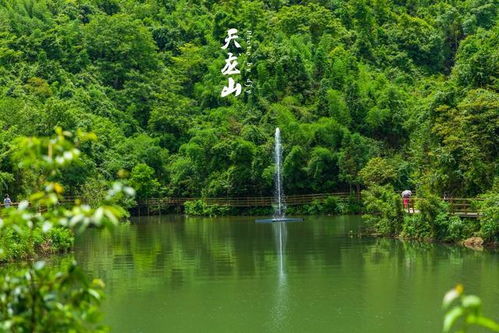 全南天气预报40天-全南县天气预报四十天趋势-第1张图片-雾华天气