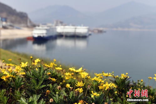 宜昌天气预报15天-天气预报宜昌天气预报15天-第1张图片-雾华天气