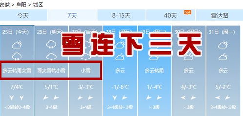 阜阳天气预报15天查询-阜阳天气预报15天查询结果表-第3张图片-雾华天气