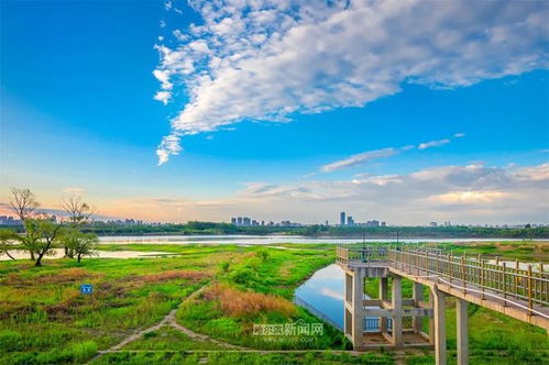 哈尔滨市60天内天气预报视频-哈尔滨市60天内天气预报-第3张图片-雾华天气