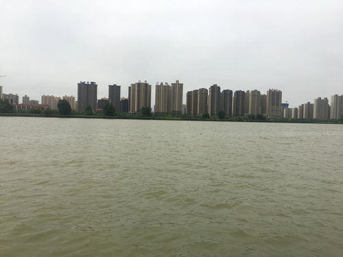 渭南限号查询今天-渭南限号查询今天2019九月二号-第1张图片-雾华天气
