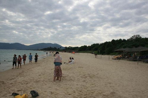 海南天气预报一周7天-海南天气预报一周7天查询-第2张图片-雾华天气