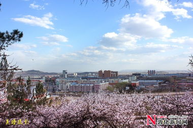 敦化市天气预报-敦化市天气预报30天-第3张图片-雾华天气