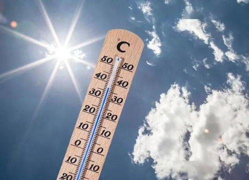 10月14号天气预报查询结果-10月14号天气预报查询-第3张图片-雾华天气