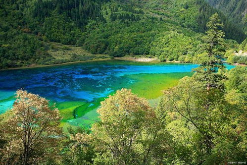 九寨沟景区天气预报一周天气-九寨沟天气预报15天查询景区-第3张图片-雾华天气