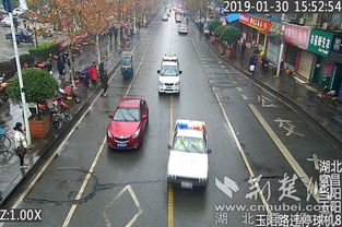 当阳天气预报15天查询-当阳天气预报15天查询当阳市河溶镇天气-第1张图片-雾华天气