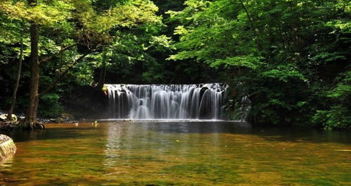 石岛天气预报一周-石岛天气预报30天-第2张图片-雾华天气
