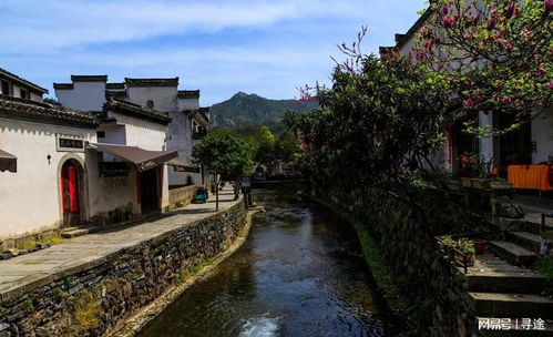 绩溪天气预报15天查询-安徽绩溪天气预报查询一周15天安-第3张图片-雾华天气
