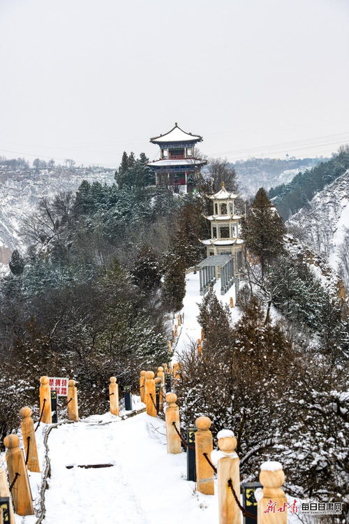 庆阳天气预报15天查询-庆阳天气预报15天查询结果-第2张图片-雾华天气
