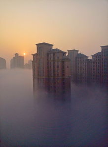 许昌40天天气预报查询-许昌40天天气预报查询最新消息-第2张图片-雾华天气
