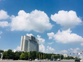 许昌40天天气预报查询-许昌40天天气预报查询最新消息-第3张图片-雾华天气