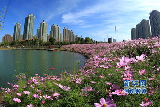许昌天气40天天气预报-许昌40天天气预报查询-第3张图片-雾华天气